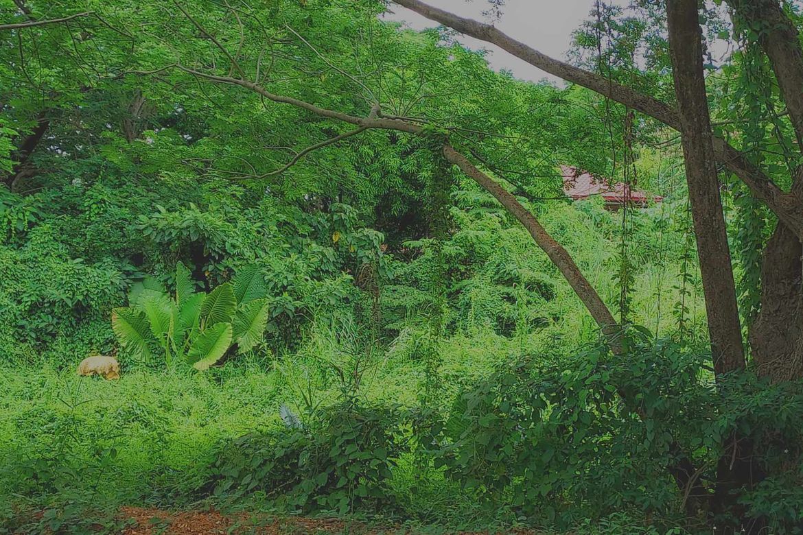 Land for Sale in Plaridel Heights, Pinagtulayan, Norzagaray, Bulacan – photo 3