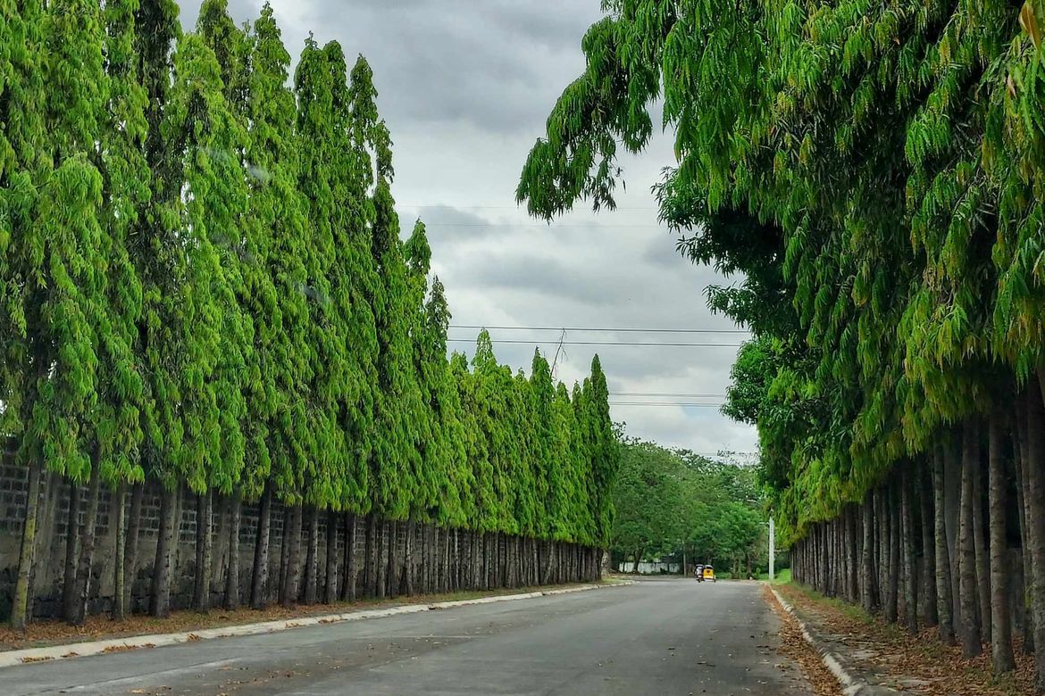 Land for Sale in Plaridel Heights, Pinagtulayan, Norzagaray, Bulacan – photo 5