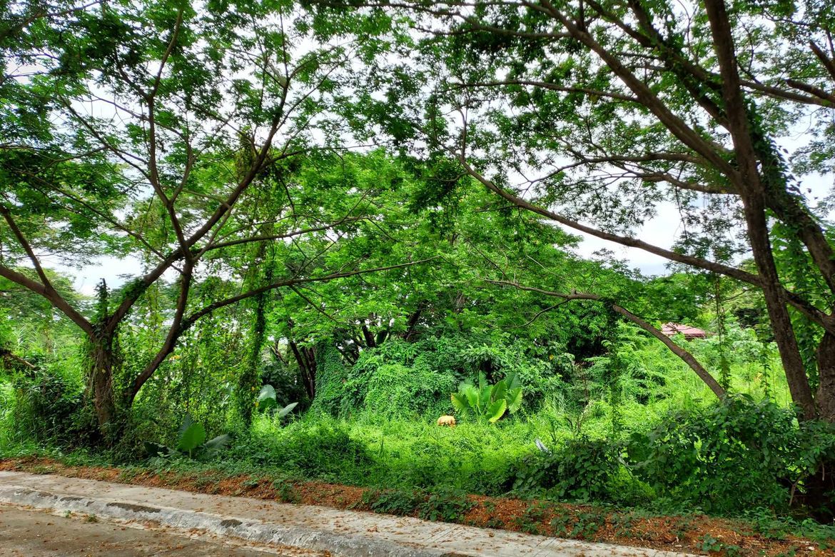 Land for Sale in Plaridel Heights, Pinagtulayan, Norzagaray, Bulacan – photo 7