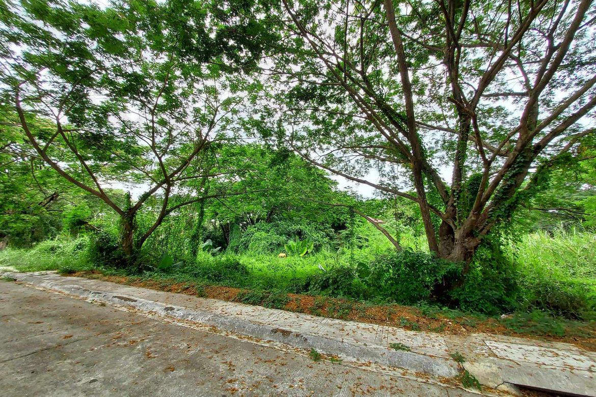 Land for Sale in Plaridel Heights, Pinagtulayan, Norzagaray, Bulacan – photo 8