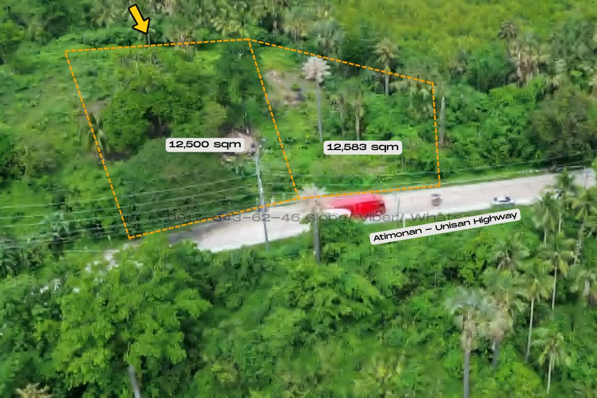 Land for Sale in Plaridel, Unisan, Quezon