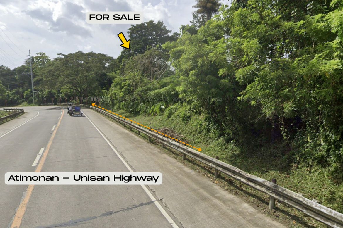 Land for Sale in Plaridel, Unisan, Quezon – photo 3