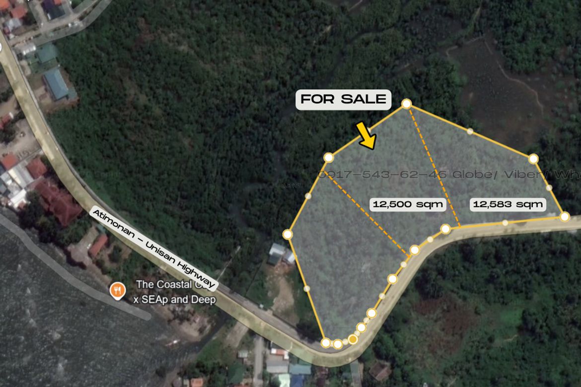 Land for Sale in Plaridel, Unisan, Quezon – photo 4