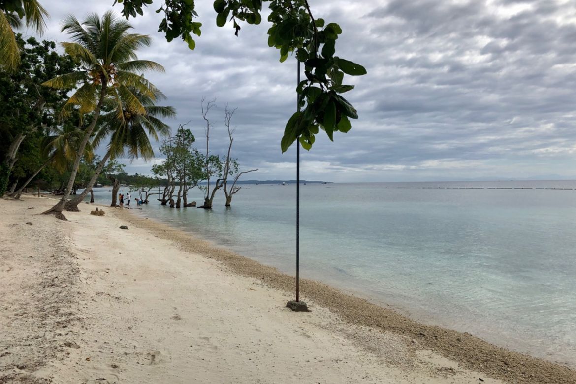 Land for Sale in Playa Azalea, Limao, Samal, Davao del Norte – photo 4