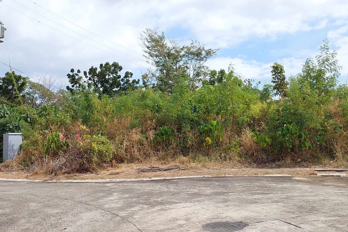 Land for Sale in Playa Calatagan village, Bagong Silang, Calatagan, Batangas – photo 2