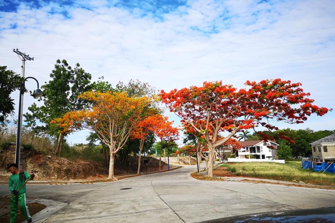Land for Sale in Playa Calatagan village, Bagong Silang, Calatagan, Batangas – photo 3