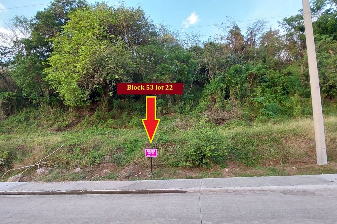 Land for Sale in Playa Calatagan village, Bagong Silang, Calatagan, Batangas – photo 2