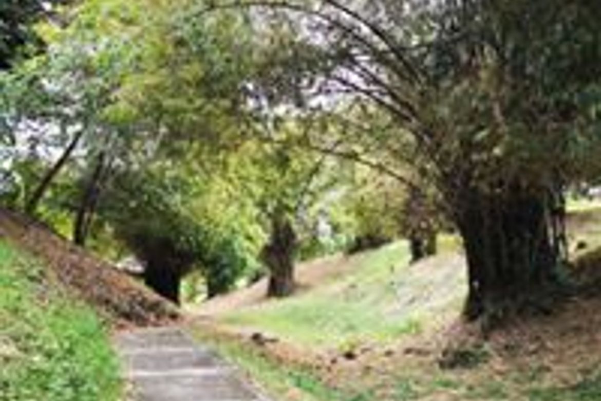 Land for Sale in Playa Calatagan village, Bagong Silang, Calatagan, Batangas – photo 6