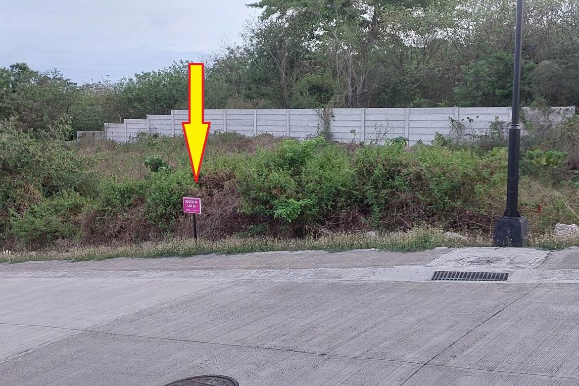 Land for Sale in Playa Calatagan village, Bagong Silang, Calatagan, Batangas – photo 2