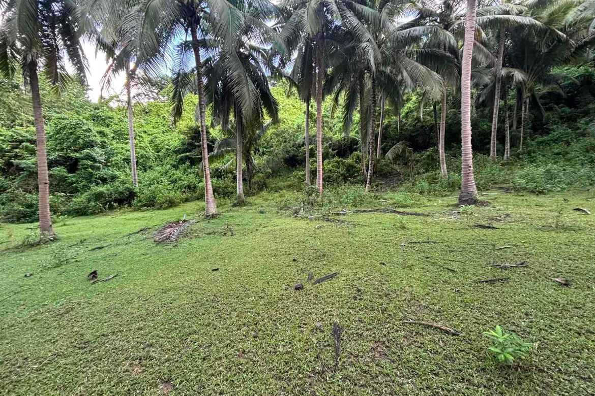 Land for Sale in Playa Laiya, Laiya-Aplaya, San Juan, Batangas – photo 2