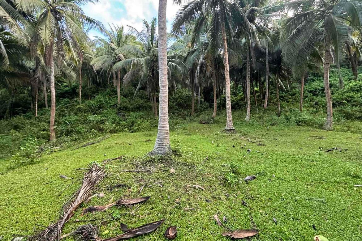 Land for Sale in Playa Laiya, Laiya-Aplaya, San Juan, Batangas – photo 4