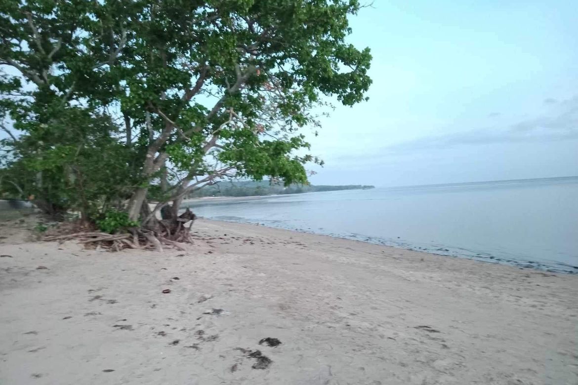 Land for Sale in Playa Laiya, Laiya-Aplaya, San Juan, Batangas