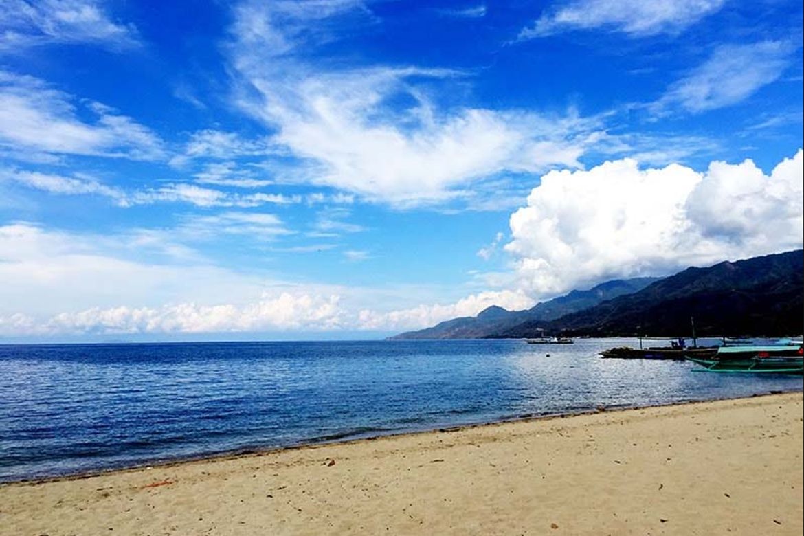 Land for Sale in Playa Laiya, Laiya-Aplaya, San Juan, Batangas – photo 4