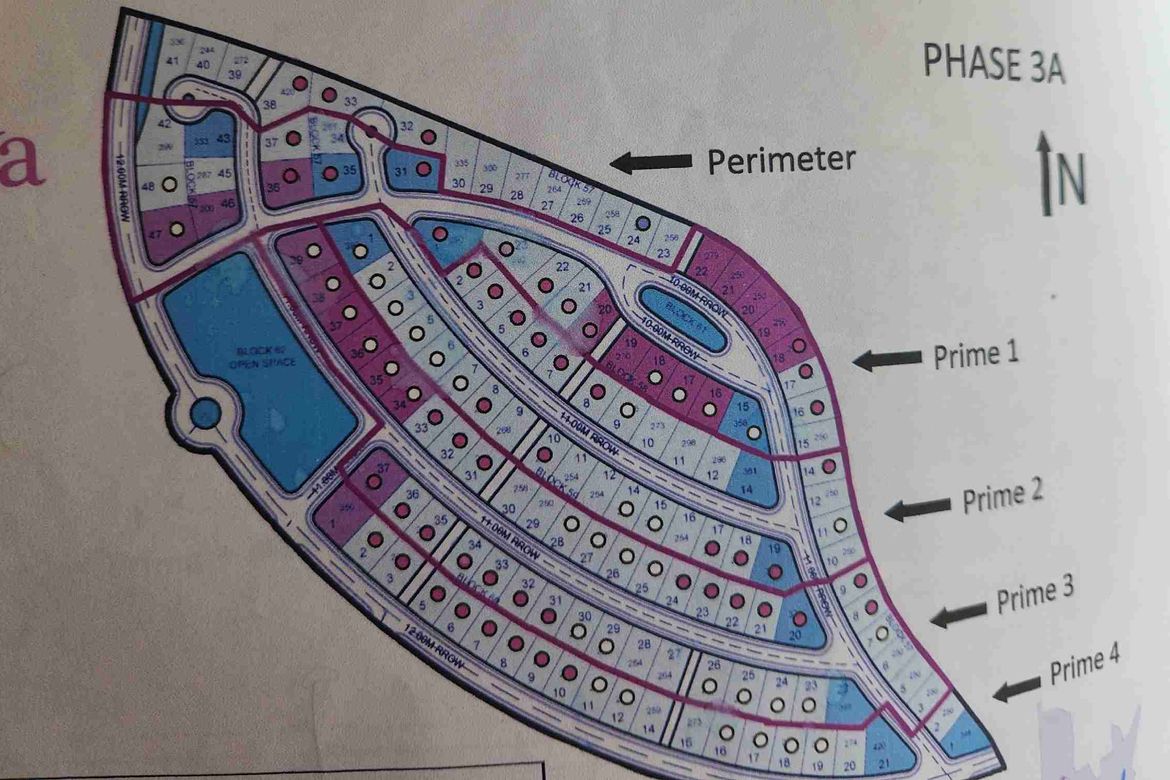Land for Sale in Playa Laiya, Laiya-Aplaya, San Juan, Batangas – photo 4