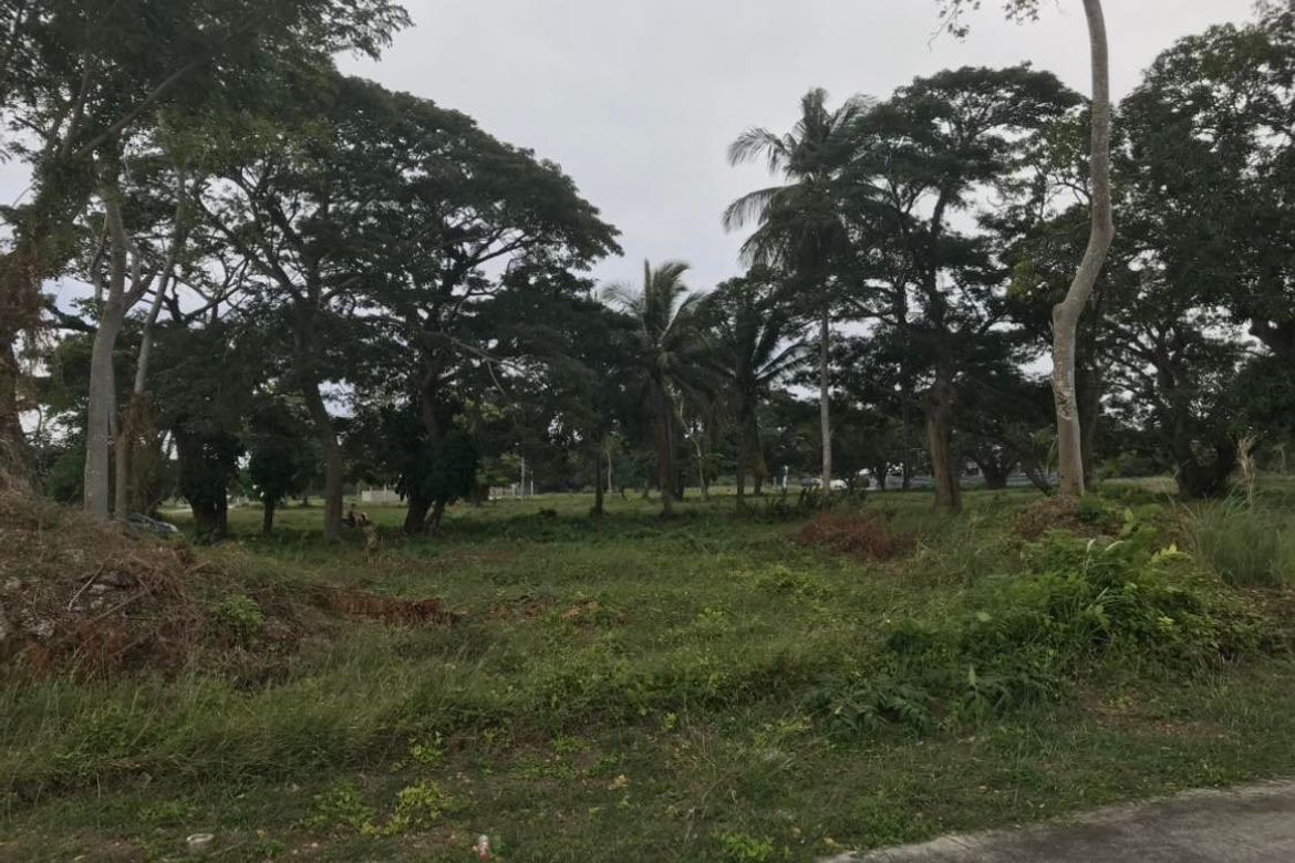 Land for Sale in Playa Laiya, Laiya-Aplaya, San Juan, Batangas – photo 6