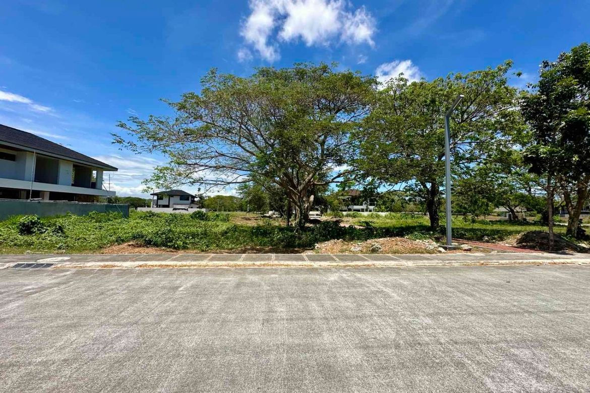 Land for Sale in Playa Laiya, Laiya-Aplaya, San Juan, Batangas