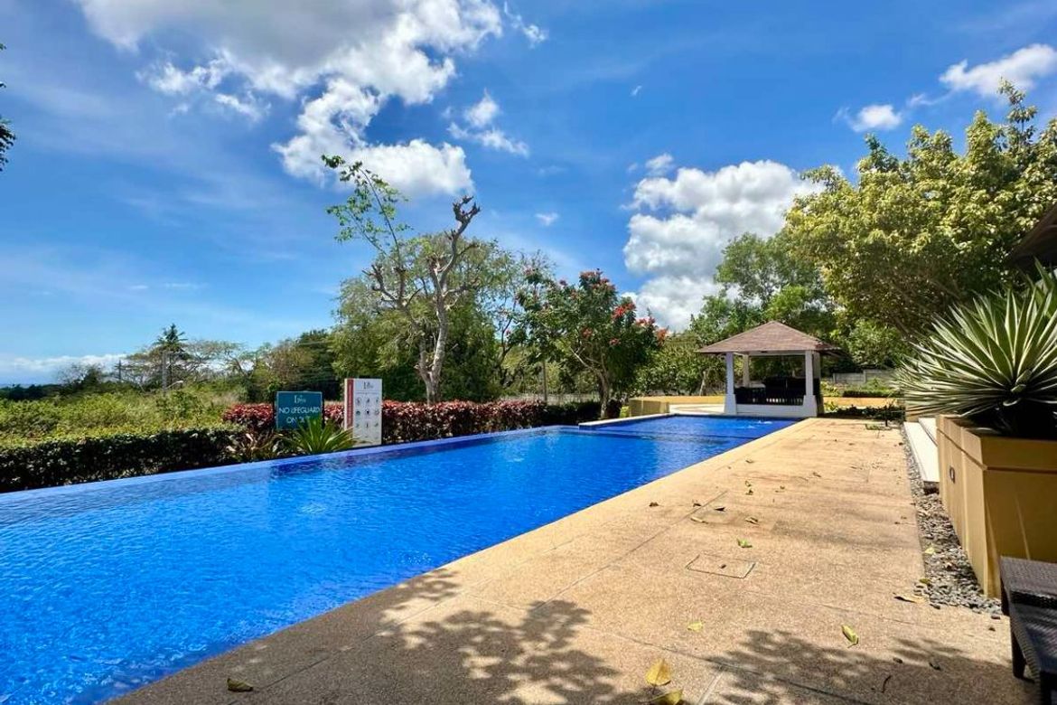 Land for Sale in Playa Laiya, Laiya-Aplaya, San Juan, Batangas – photo 6