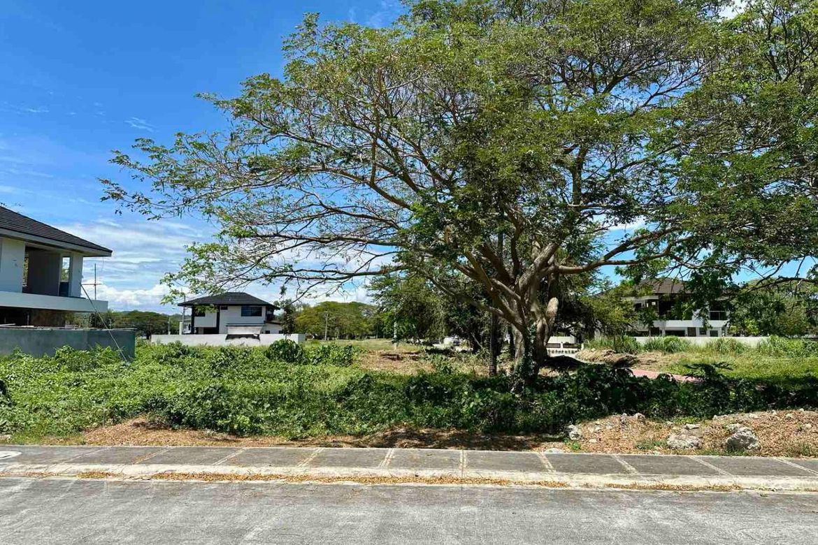 Land for Sale in Playa Laiya, Laiya-Aplaya, San Juan, Batangas – photo 7