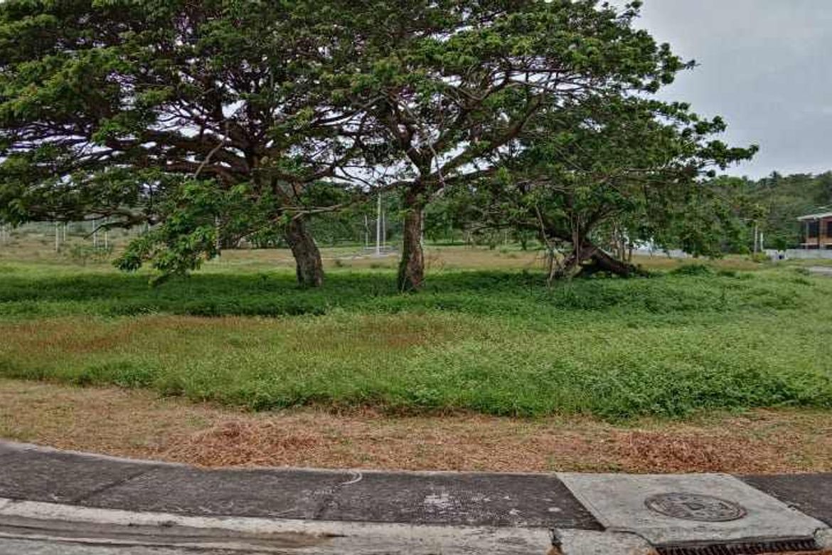Land for Sale in Playa Laiya, Laiya-Aplaya, San Juan, Batangas