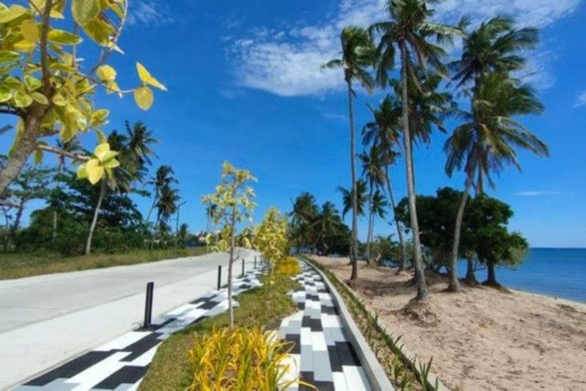 Land for Sale in Playa Laiya, Laiya-Aplaya, San Juan, Batangas – photo 5