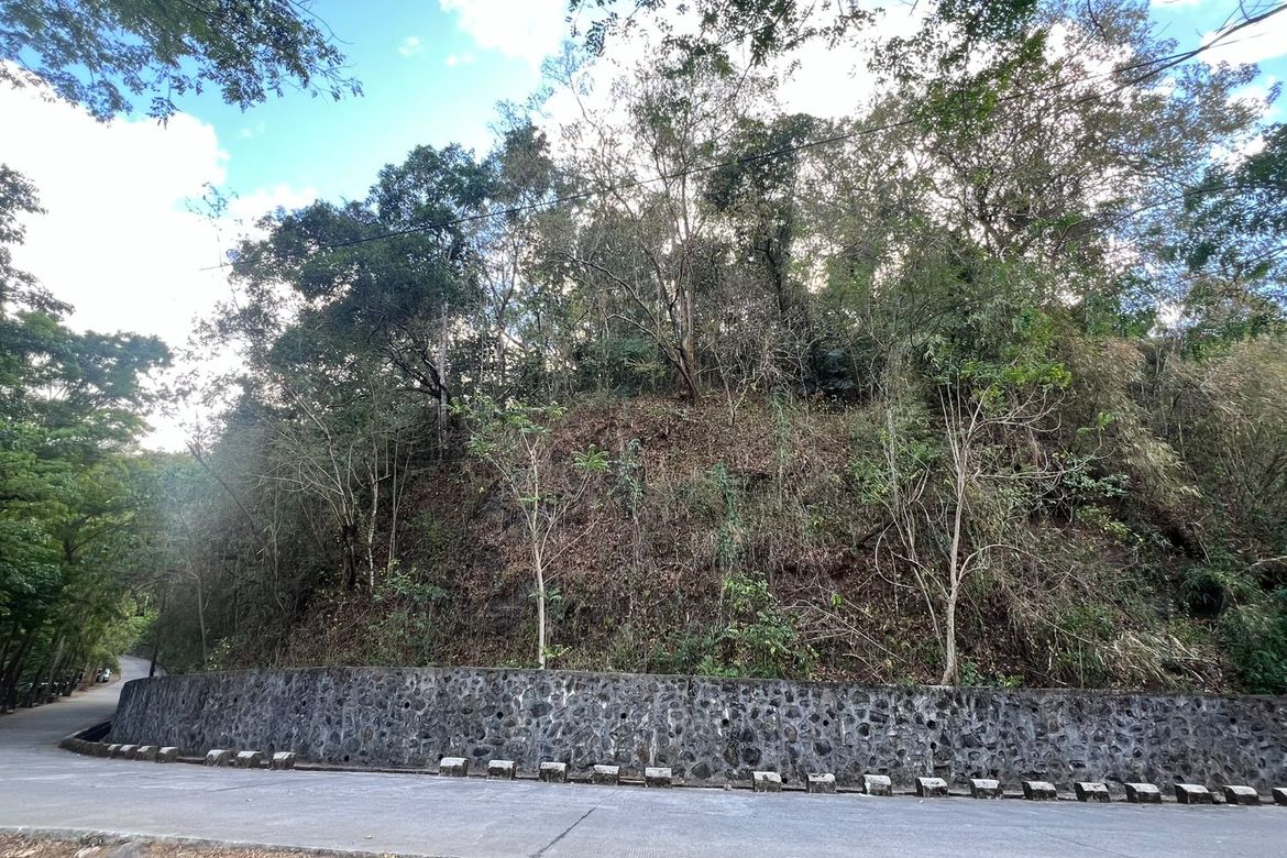 Land for Sale in Plaza Aldea, Tanay, Rizal – photo 3