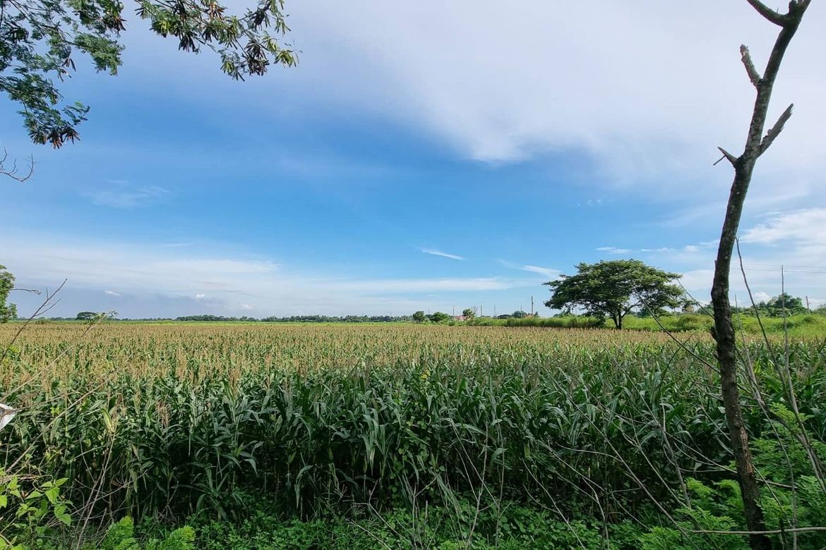 Land for Sale in Plazang Luma, Arayat, Pampanga – photo 2