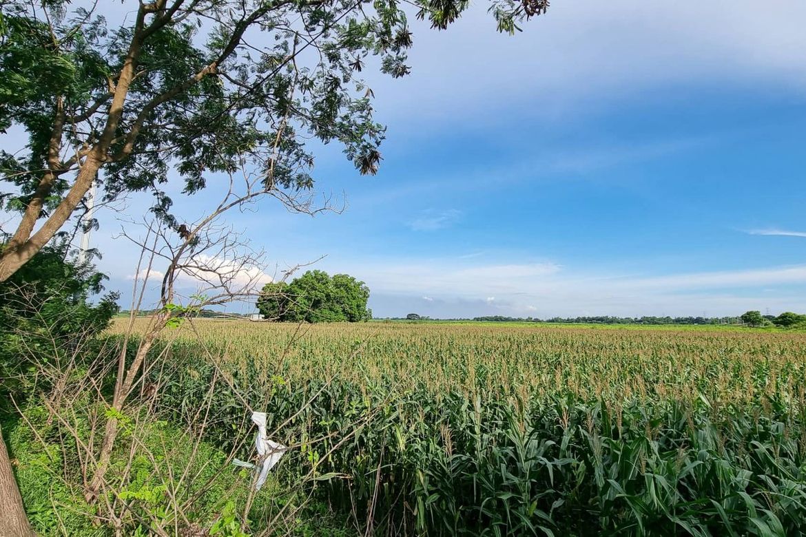 Land for Sale in Plazang Luma, Arayat, Pampanga – photo 4
