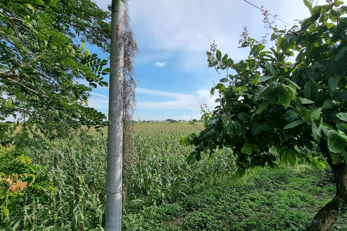 Land for Sale in Plazang Luma, Arayat, Pampanga – photo 7