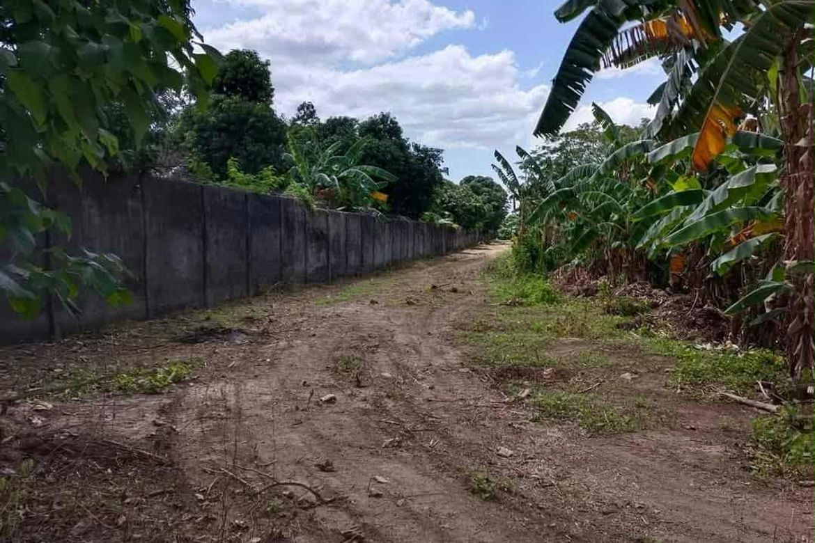 Land for Sale in Plazang Luma, Arayat, Pampanga