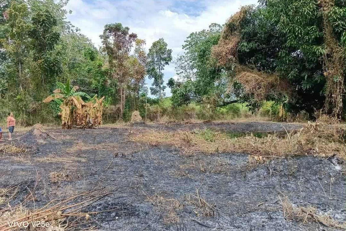 Land for Sale in Plazang Luma, Arayat, Pampanga – photo 2