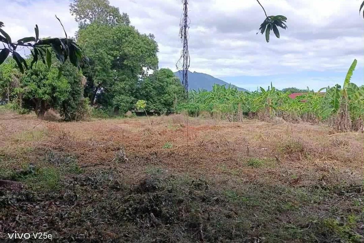 Land for Sale in Plazang Luma, Arayat, Pampanga – photo 3