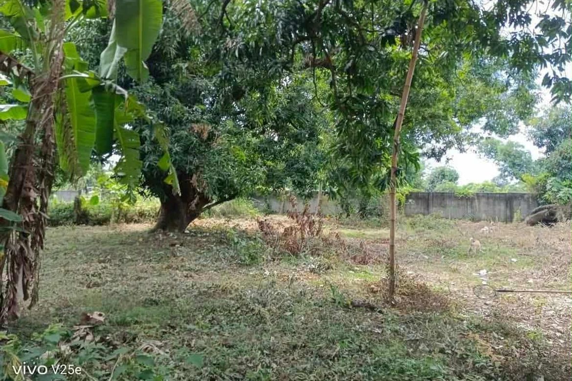 Land for Sale in Plazang Luma, Arayat, Pampanga – photo 5