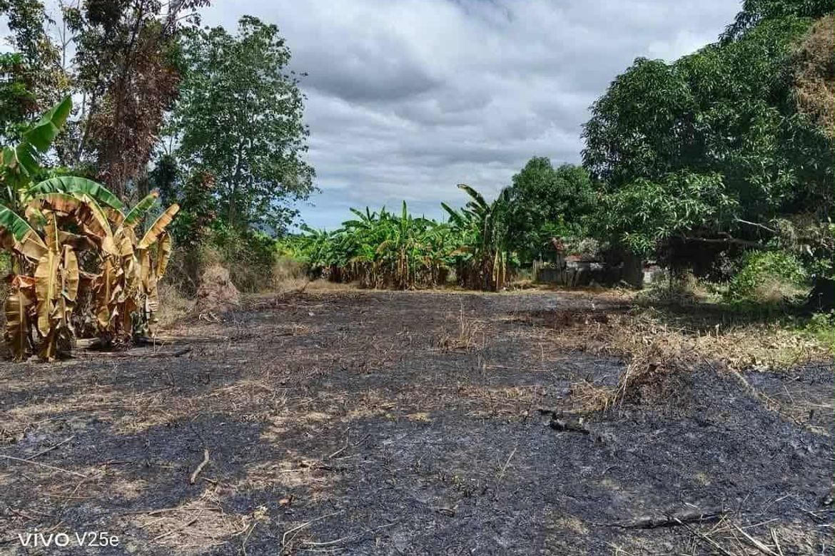 Land for Sale in Plazang Luma, Arayat, Pampanga – photo 7