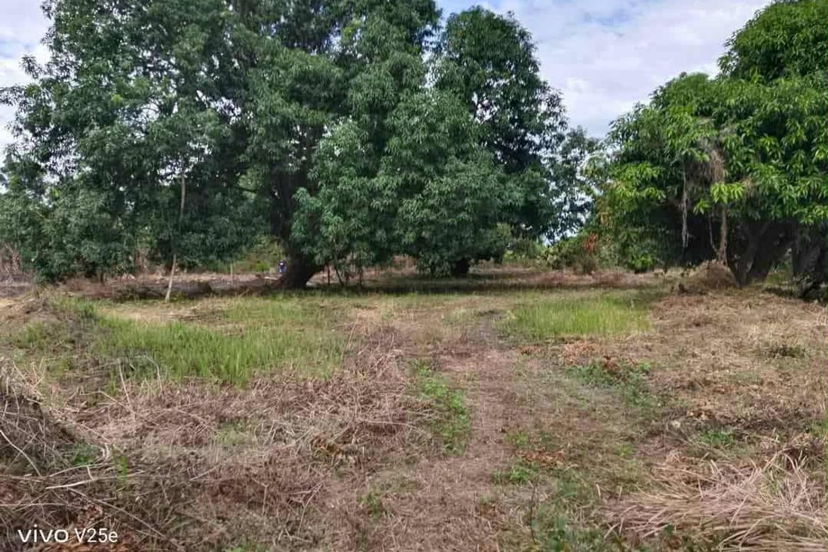 Land for Sale in Plazang Luma, Arayat, Pampanga – photo 8