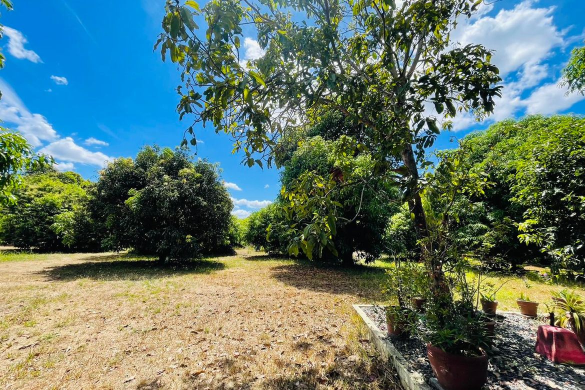 Land for Sale in Plazang Luma, Arayat, Pampanga – photo 3