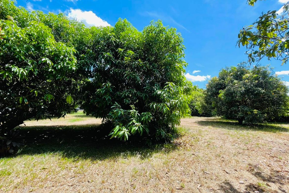 Land for Sale in Plazang Luma, Arayat, Pampanga – photo 4