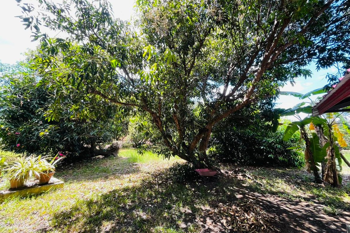 Land for Sale in Plazang Luma, Arayat, Pampanga – photo 6