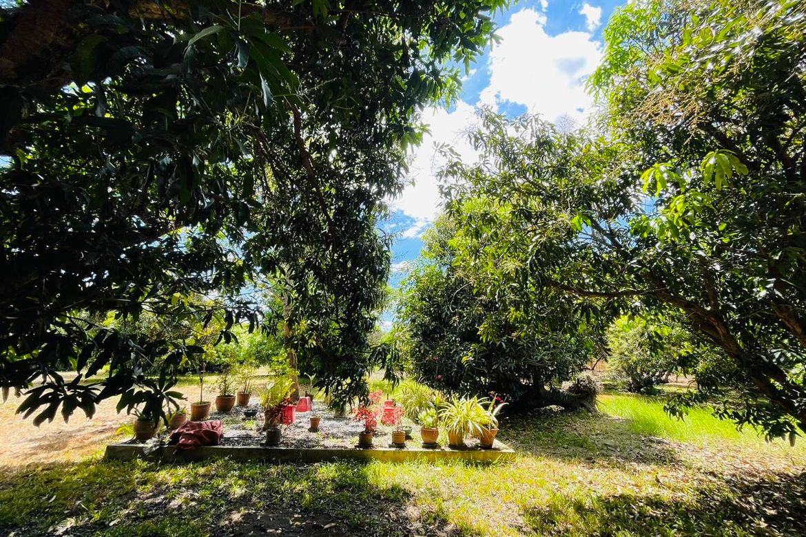 Land for Sale in Plazang Luma, Arayat, Pampanga – photo 7