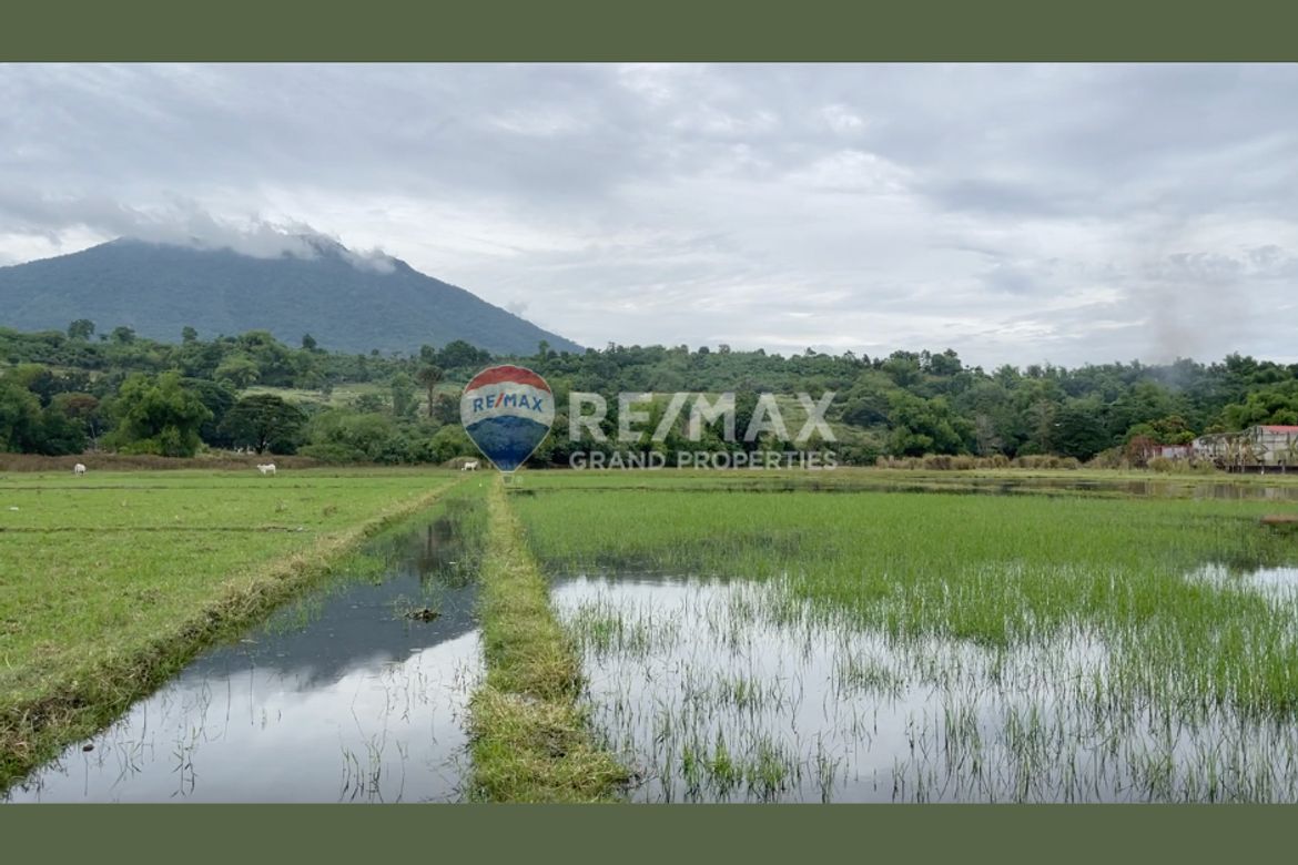 Land for Sale in Plazang Luma, Arayat, Pampanga – photo 3