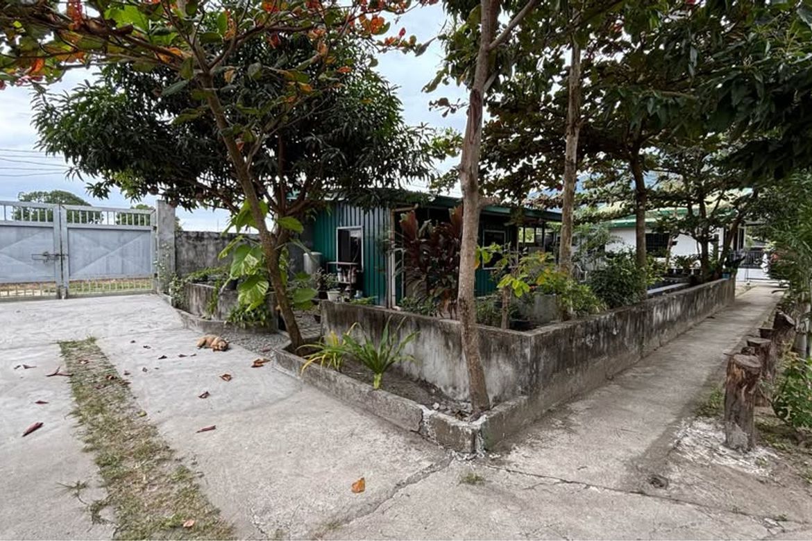 Land for Sale in Plazang Luma, Arayat, Pampanga – photo 8