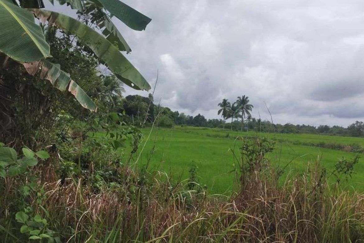 Land for Sale in Poblacion, Aborlan, Palawan – photo 2