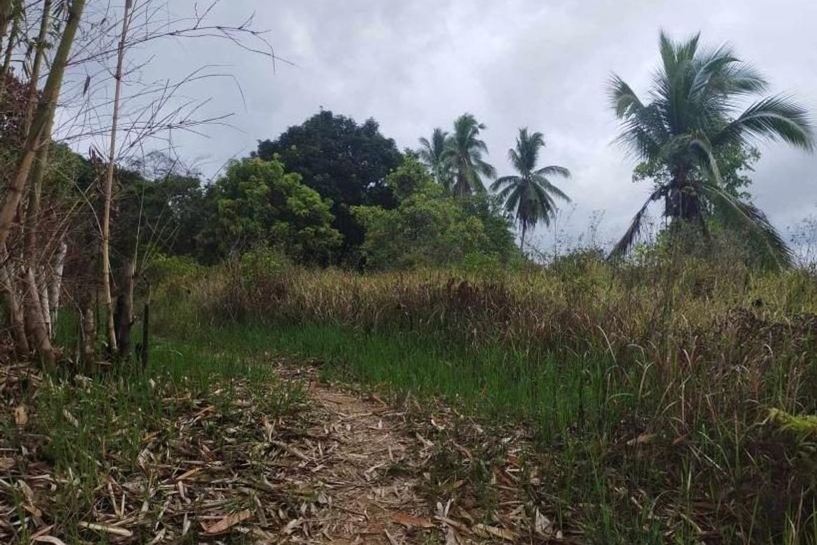 Land for Sale in Poblacion, Aborlan, Palawan – photo 5