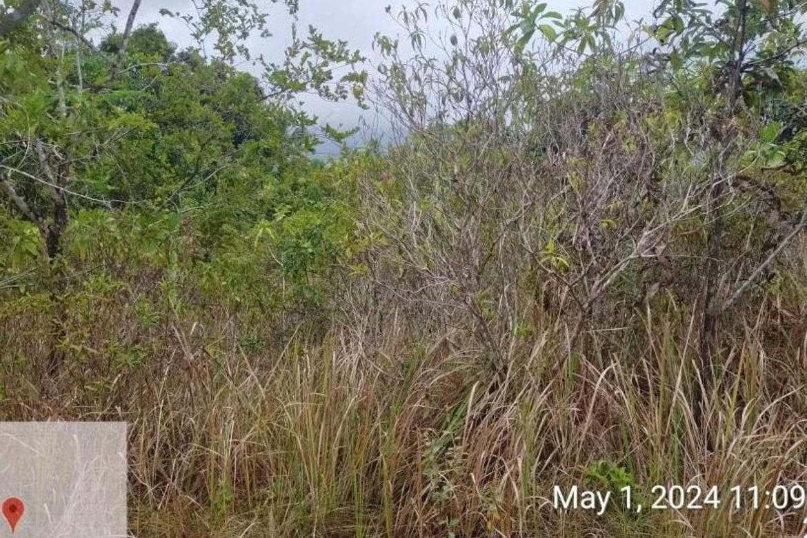 Land for Sale in Poblacion, Aborlan, Palawan – photo 6