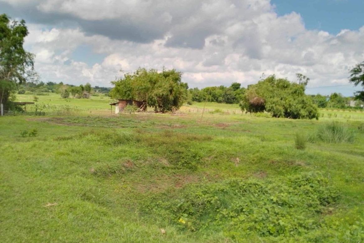 Land for Sale in Poblacion, Alaminos, Pangasinan – photo 3