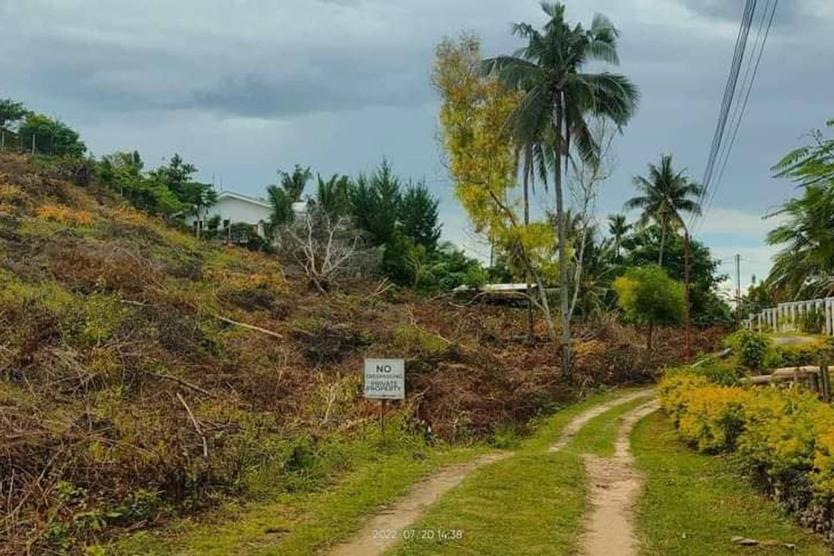 Land for Sale in Poblacion, Alcoy, Cebu – photo 4