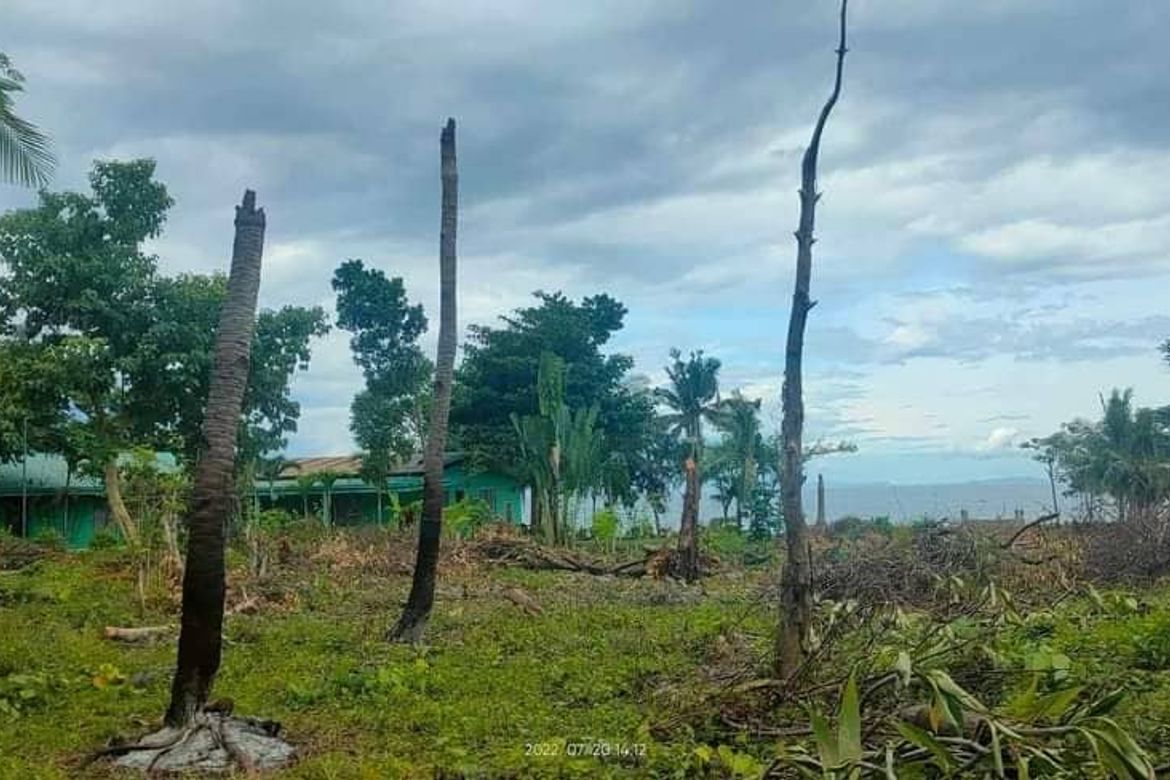 Land for Sale in Poblacion, Alcoy, Cebu – photo 6