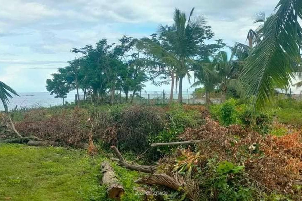 Land for Sale in Poblacion, Alcoy, Cebu – photo 8