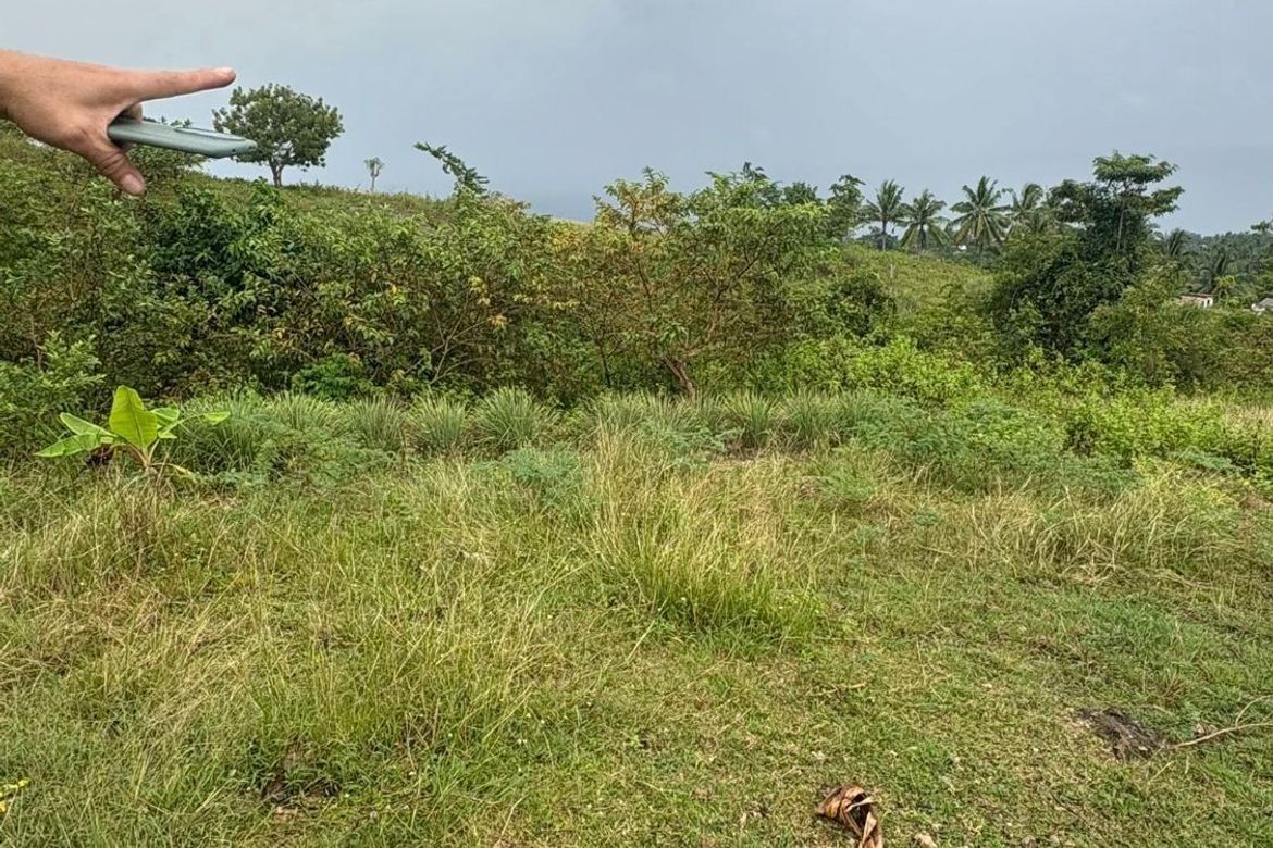Land for Sale in Poblacion, Argao, Cebu – photo 3