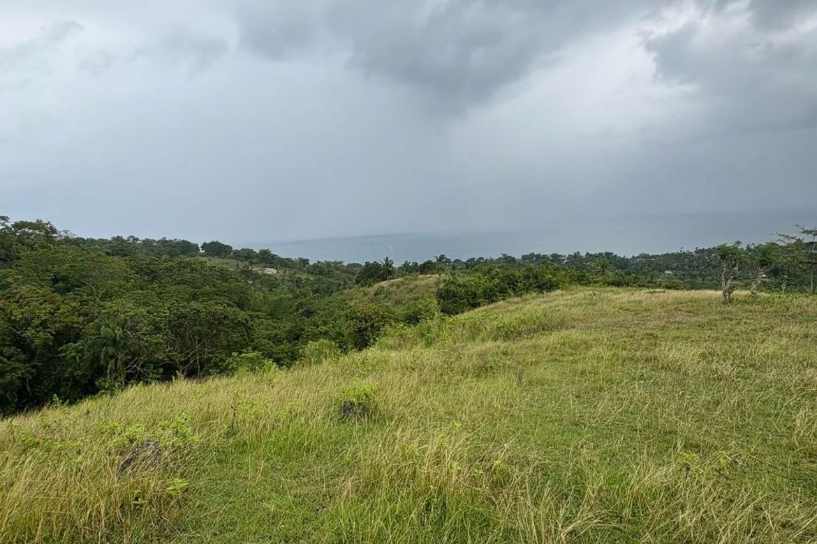 Land for Sale in Poblacion, Argao, Cebu – photo 5