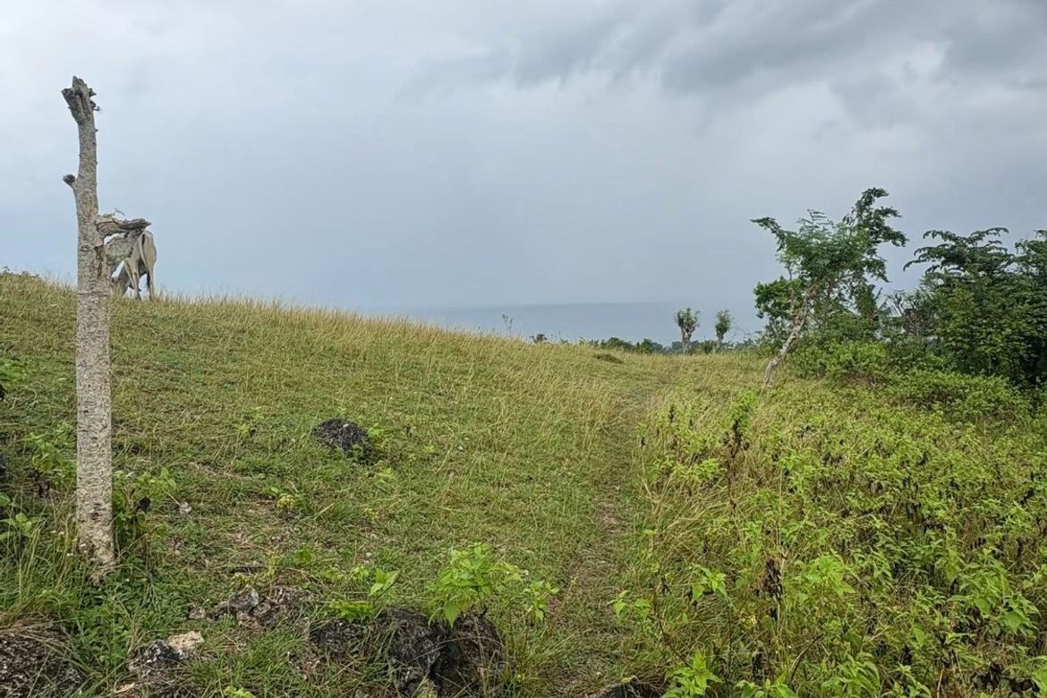 Land for Sale in Poblacion, Argao, Cebu – photo 6